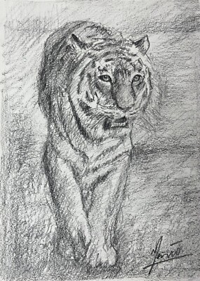 ORIGINAL GRAPHIT ZEICHNUNG HANDARBEIT STUDIE MARIO MENDOZA KUNST TIGER DSCHUNGELTIER