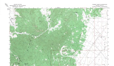 Forest Home Quadrangle, Nevada 1964 Topo Map USGS 15 Minute Topographic