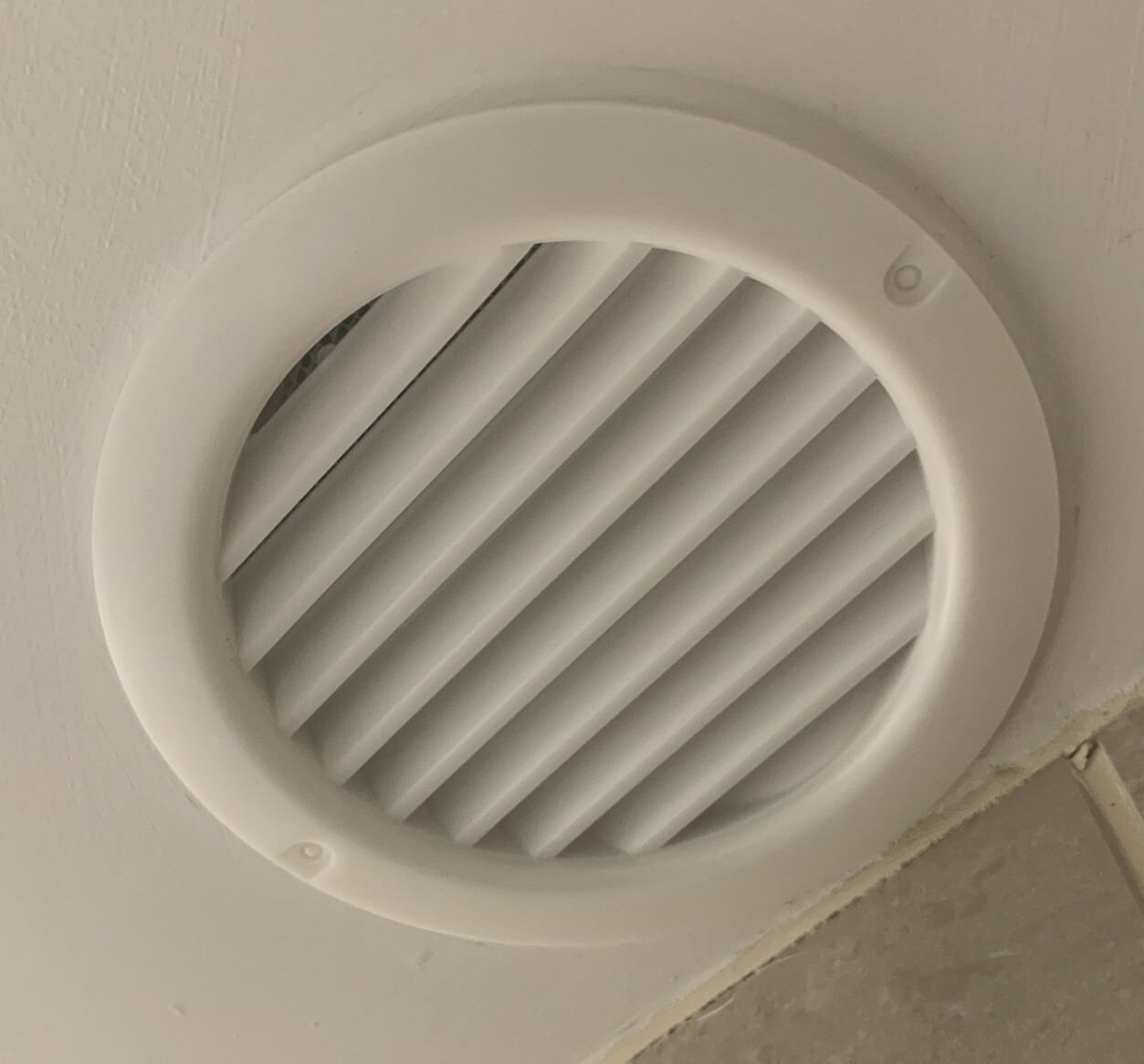 DOMUS WHITE 4