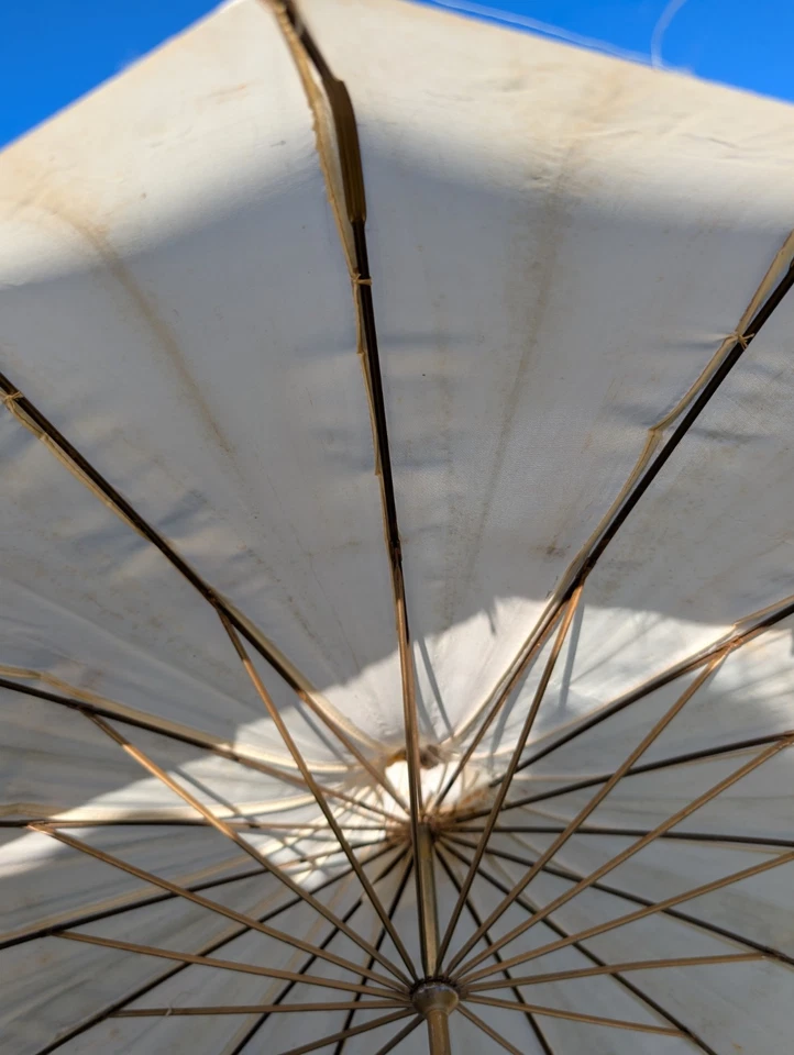 古董复古女式 20 世纪 50 年代 PJK RN15271 尼龙遮阳伞木柄 29 — 第 4/4 张图片