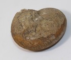 Bild 5 von 6