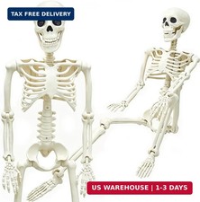 36" Skeleton Halloween Decorations, 3FT Realistic Full Body Movable Posable Join