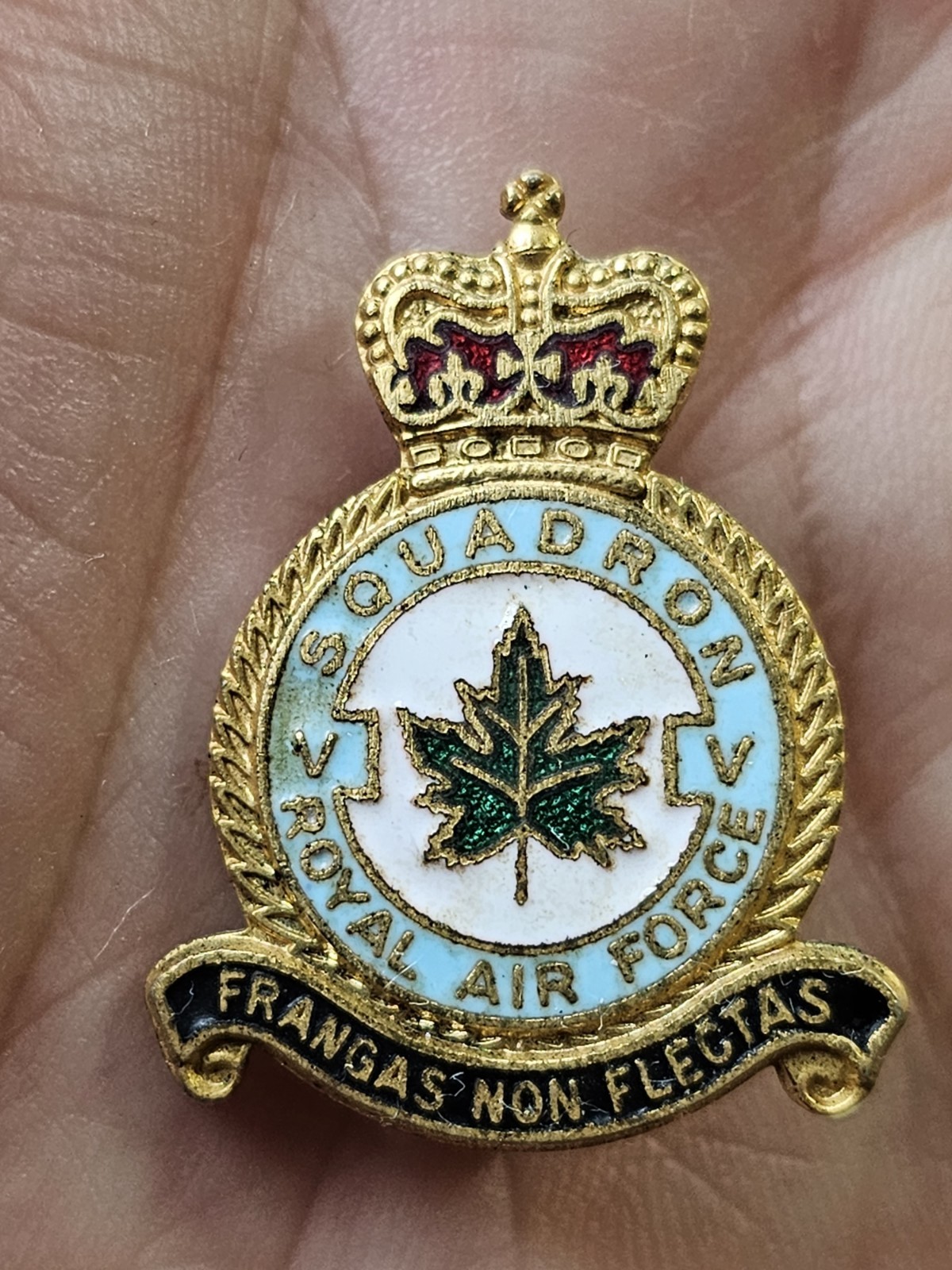 Vintage RAF 5 Squadron Crest Brass And Enamel Pin Badge | eBay UK