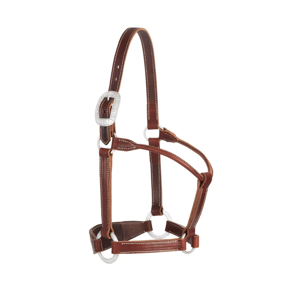 Halter Stacy Westfall Bronc, 1", marrón promedio Foto 4 de 4