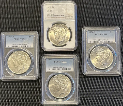 PCGS & NGC Certified Peace Dollar Lot 1928 MS61 1926 MS61 1934-D MS63 1927-D AU5