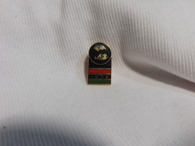 BCDI Black Child Development Institute  Lapel Hat Pin