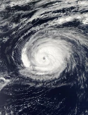 Hurricane Paulette 2020 Satellite Photo Atlantic Ocean Earth Photo Poster Print