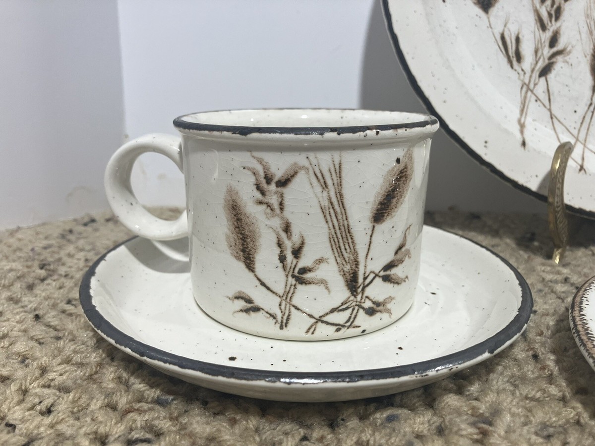 Vintage Stonehenge Midwinter “Wild Oats” 5 Piece Dinnerware