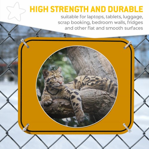 2 x Vinyl Aufkleber 25 cm - Wolkenleopard Wildkatze cooles Geschenk #3201 - Bild 7 von 9