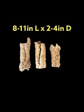 3-PACK 2-4 inch Diameter x 8-11 inch Long Cork Bark Round 