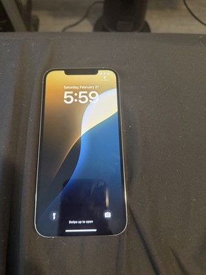 Apple Smartphone 256GB Dual SIM Factory Unlocked Wi-Fi Bluetooth iOS