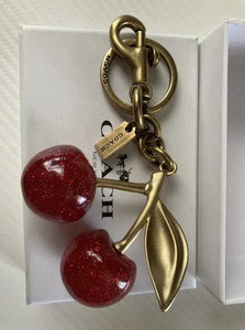 Coach Apple Charm | eBay