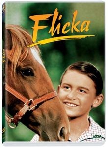 Flicka von Harold D. Schuster | DVD | Zustand akzeptabel