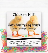 Baby Poultry Leg Bands 1/4" Medium Chick 100 