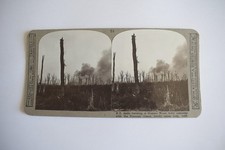 WW1 Stereoview NO51 THE DESTRUCTION OF MAMETZ WOOD FRANCE C1918 3D Photo