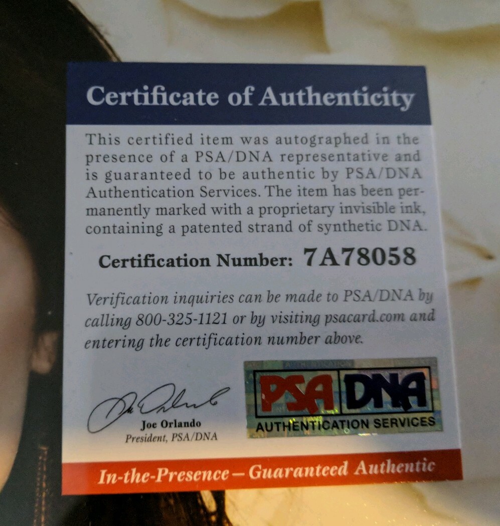 Lucy Hale Signed Autograph Photo 11x14 PSA/DNA Pretty Little Liars eBay