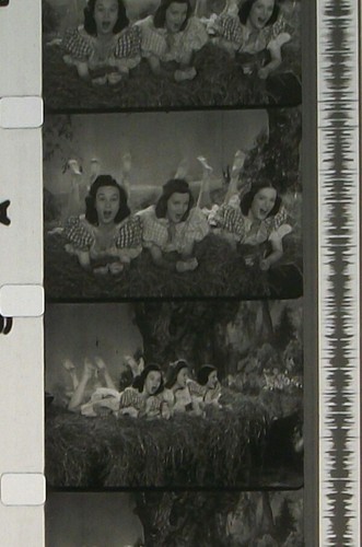 INDIANA HAY RIDE GAYE DIXON SOUNDIE 16MM FILM MOVIE ROLLED S99 MIRROR IMAGE - Imagen 8 de 9