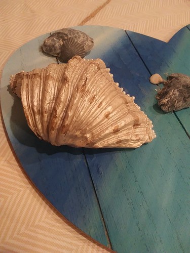 Crab - Beach Wall Art Seashell - Picture 10 of 14