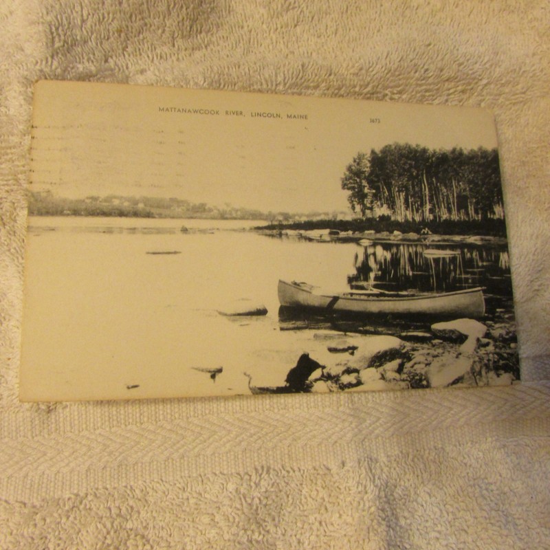 1959 Postcard Mattanawcook River Lincoln Maine Help the Animals