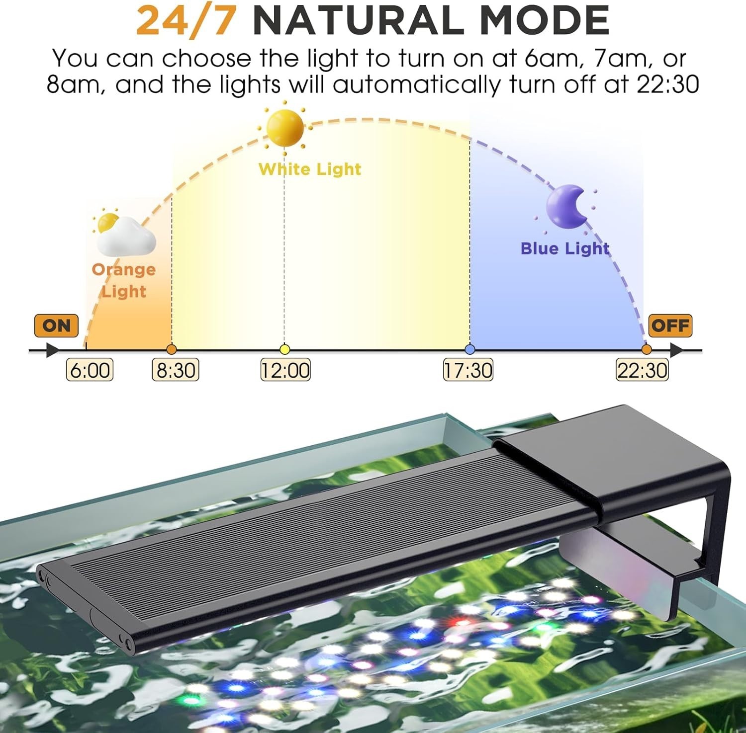 Slide 7
