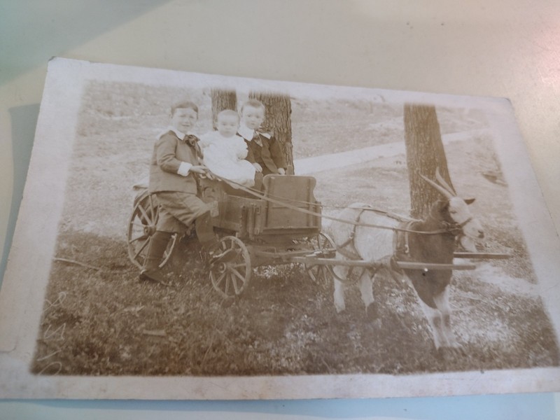 Goat Cart Children RPPC Early 1900s  Real Photo Postcard