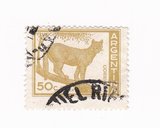 Argentina Vintage Postage Stamp 50c