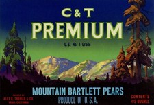 C & T Premium Brand Pear Crate Label - Ukiah California - U.S. No 1 Grade C & T Premium Brand Pear Crate Label - Ukiah California - U.S. No 1 Grade