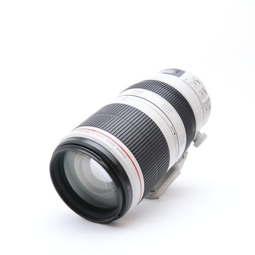 Canon EF 100-400mm f/4.5-5.6L USM for Camera