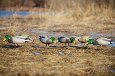 Greenhead Gear Full Body Mallard Feeder Pack Duck Decoys Avery