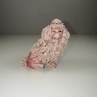 Foto 1 di 12