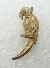 Parrot Lapel Pin (A248)