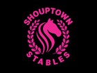 shouptowncollectables