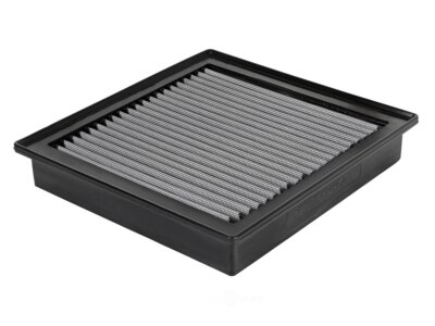 Air Filter-GAS Afe Filters 31-10162