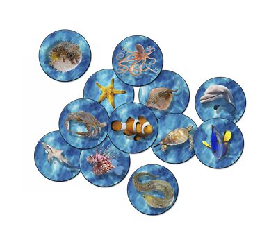 Flagship Carpets Into The Sea Educational Area Rug for Classroom, Home Learni...