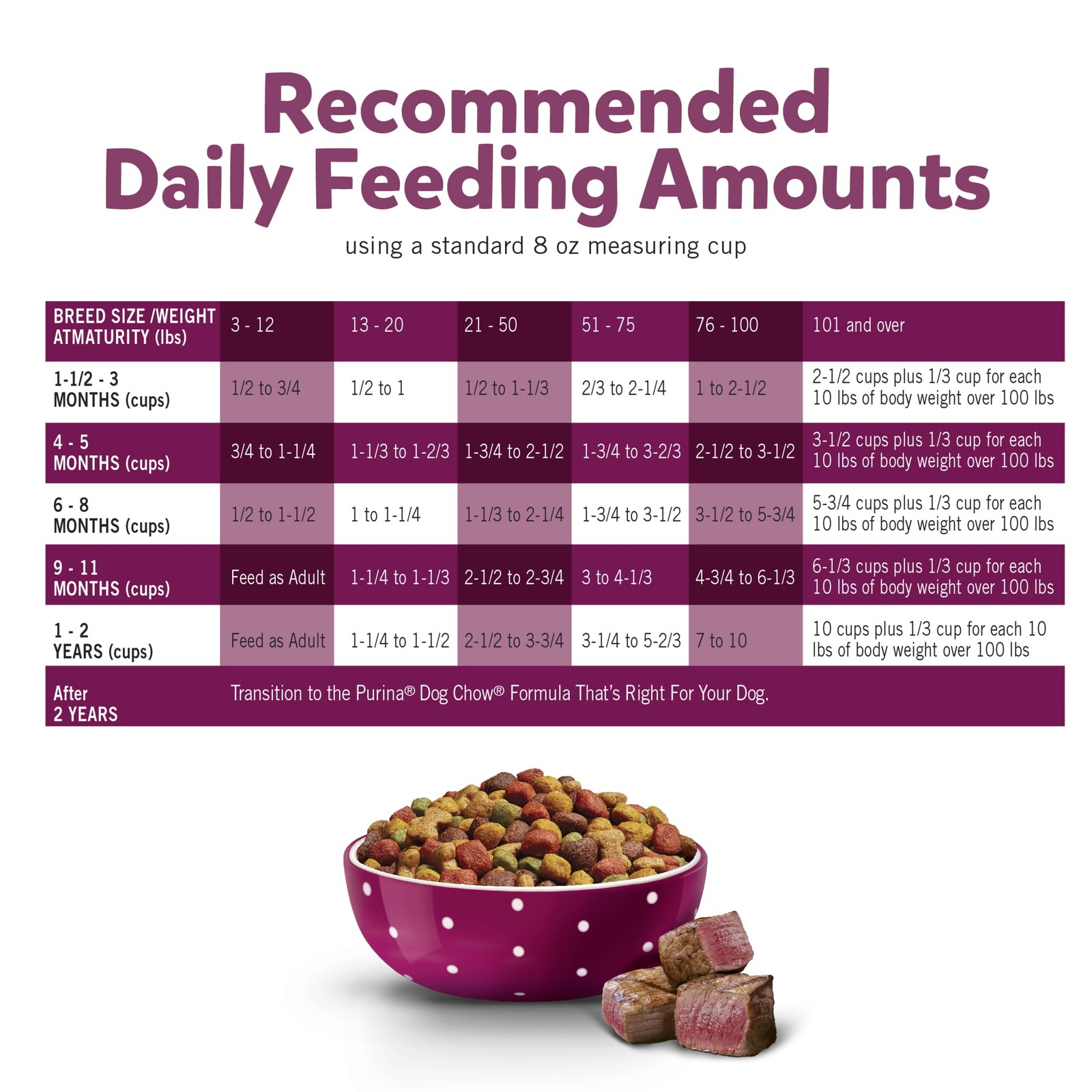  Chow Dry Dog Food, High Protein Tender & Crunchy Real Beef Formula, 15 lb Bag