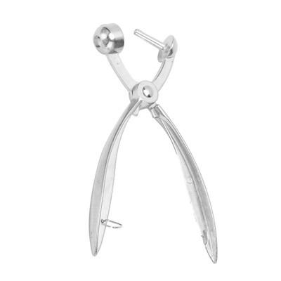 Cherry Pitter Aluminiumlegierung Olive Stone Remover Hand Entfernen Werkzeu CU