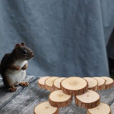 Wooden Hamster Ladder Platform Small Pet Climbing Toy Light Brown