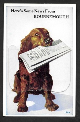 Vintage ausziehbare Postkarte HUND UND ZEITUNG ''Hier sind einige Neuigkeiten aus Bournemouth''