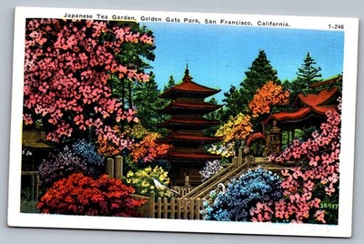 1930s Japanese Tea Garden San Francisco CA Postcard