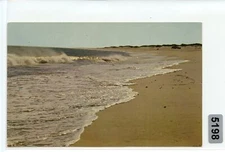Outer Cape Cod Surfing Photography Postcard