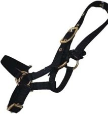 Valhoma Adjustable Heavy duty LLAMA HALTER w/ Brass plated hardware 5 COLORS!