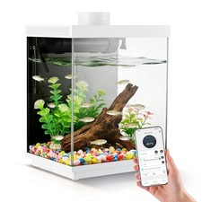 Smart 3 Gallon Glass Fish Tank, Aquarium Kit with APP Control and Auto Feeder,