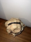 Bild 5 von 6
