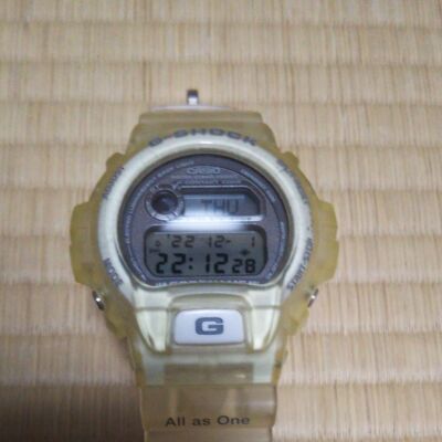 Casio G-Shock Dw-6910K Digital Quartz Men Dolphin Whale 1997