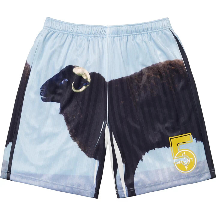 パンツ Supreme Damien Hirst Soccer Short Black Supreme Damien Hirst Soccer Short Black | eBay