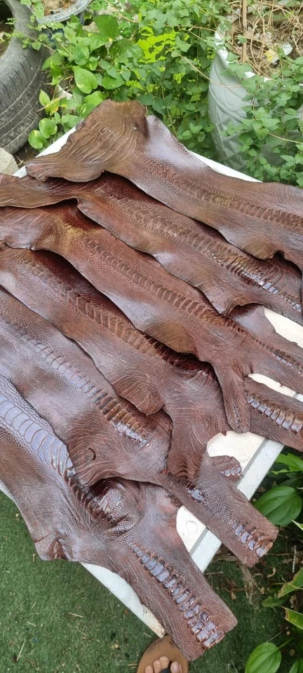 Piel de cuero de pierna de avestruz marrón chocolate hecha a mano piel de avestruz real 2 piezas Foto 4 de 4