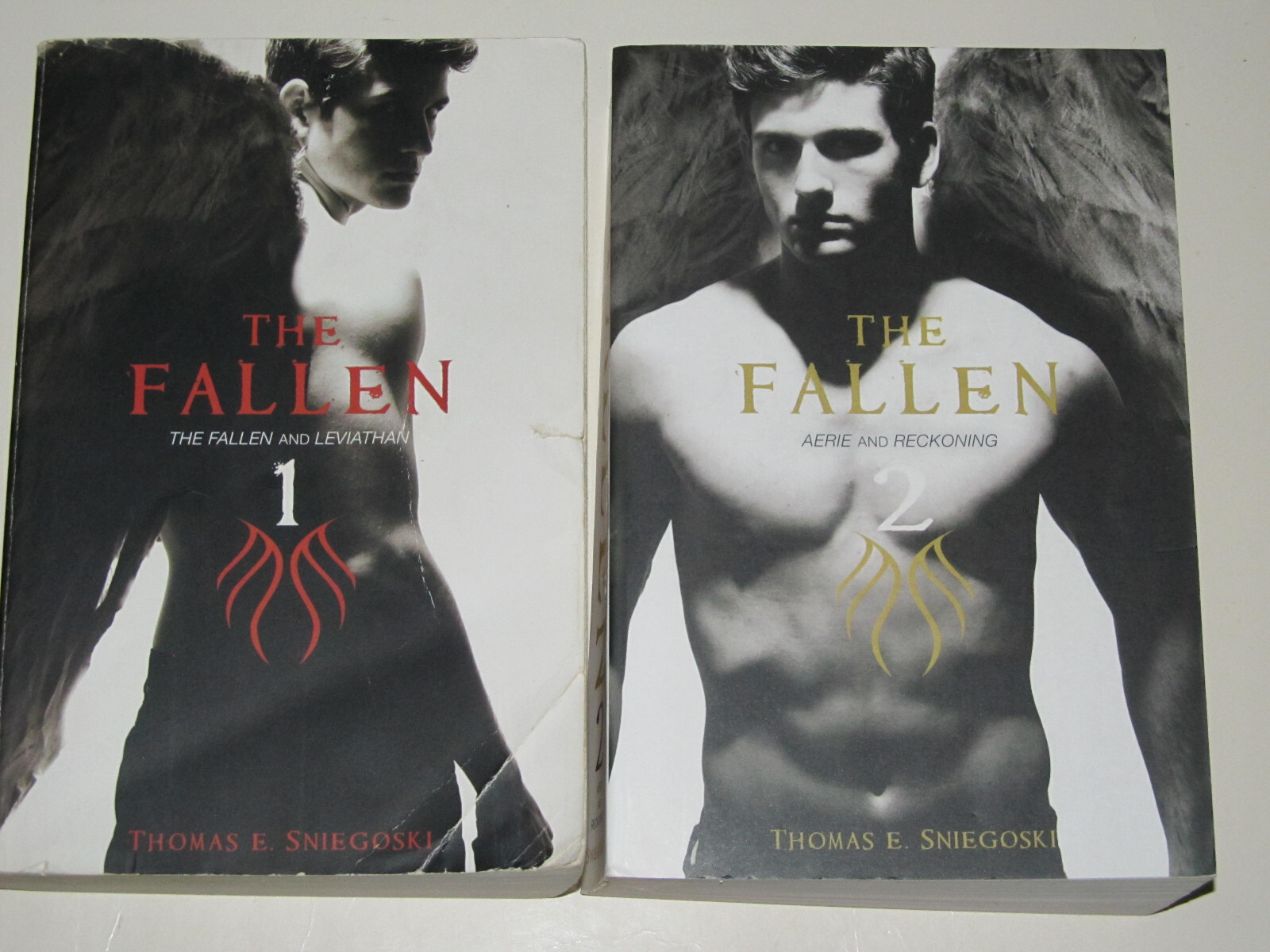 Books #1-2 in the Fallen Series by Thomas E. Sniegoski | eBay