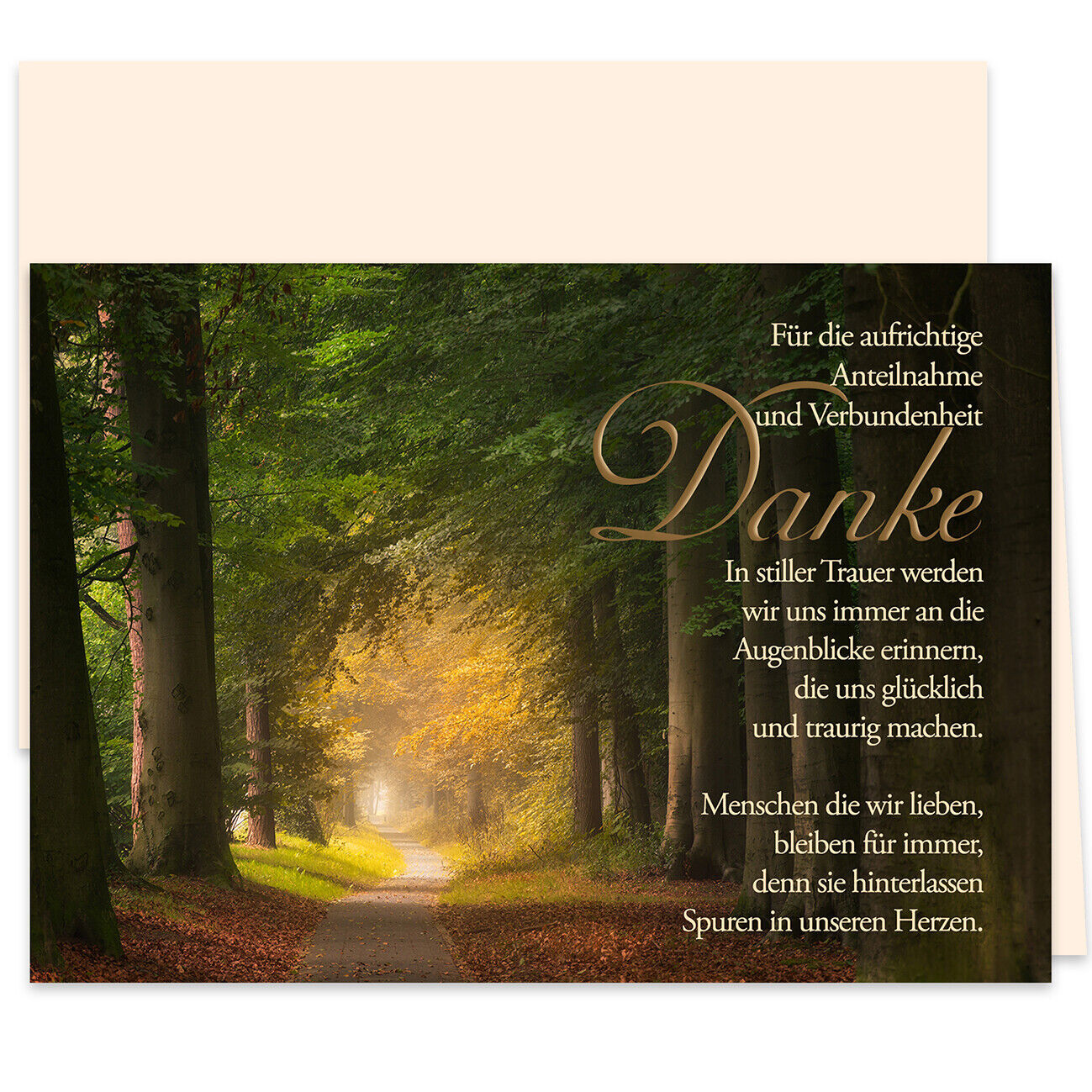 10 Danksagungskarten Trauer Set "Stiller Waldweg" mit Umschlägen - Dankeskarte