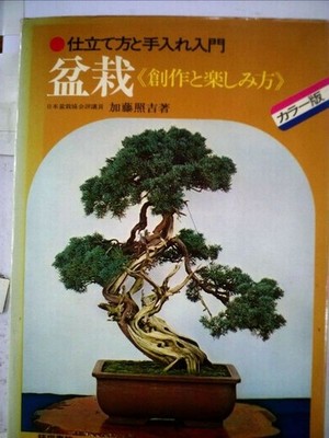Bonsai Color Version Book How to Prepare Care Create and Enjoy Guide