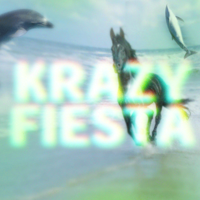 !KRAZY FIESTA VHS MADNESS!